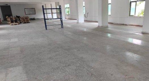 东莞东莞市 塘面桥林路16号850㎡ 砖混厂房出售层高13米 跨度50米 柱距25米 配电15KVA 独院