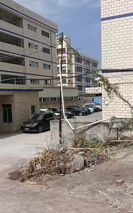 临深黄江镇 长龙钢结构8米单层厂房仅租18块