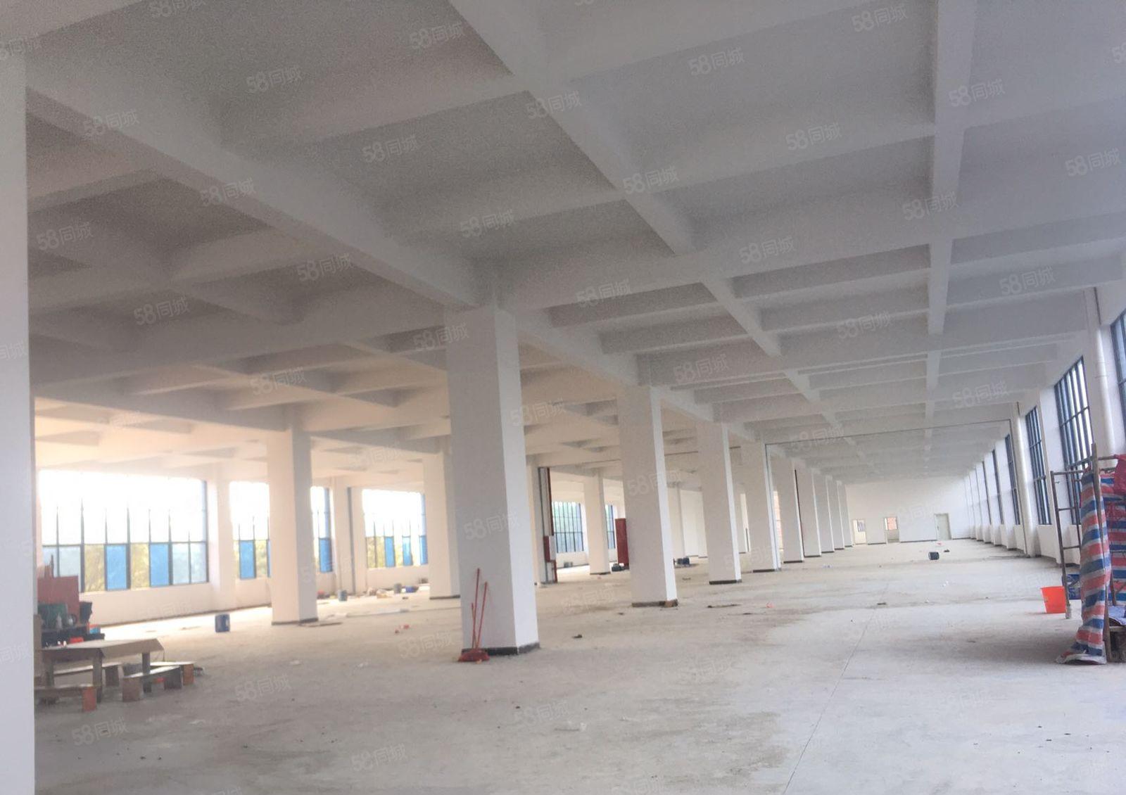 东莞市临深镇区原房东，全新独院厂房出租，形象好，证件齐全。