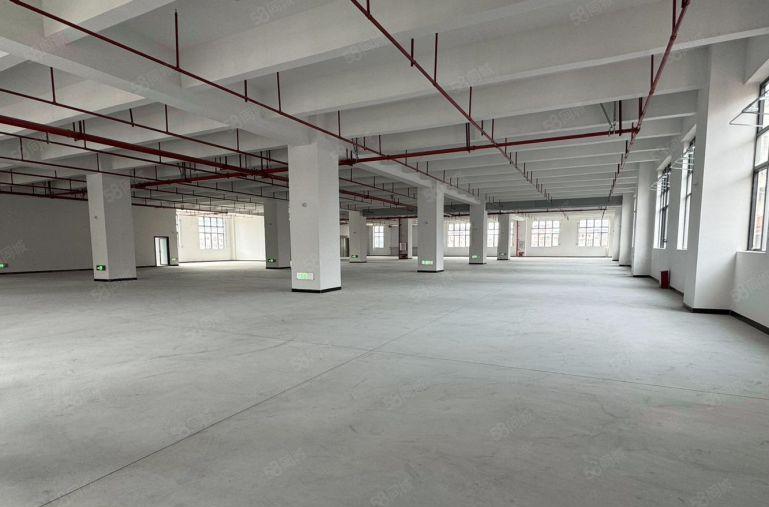 黄江全新标准厂房主线到车间500起分厂租8元