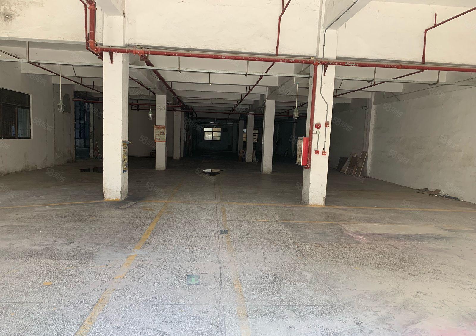 黄江镇成熟工业园分租一楼2200平方米