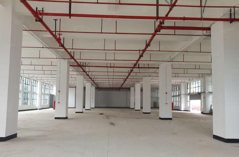 黄江星光村辰星路4号 原房东全新厂房24000平出租 可分租