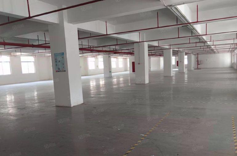 1700平带3个办公室，装修保养好，长条形，采光极好