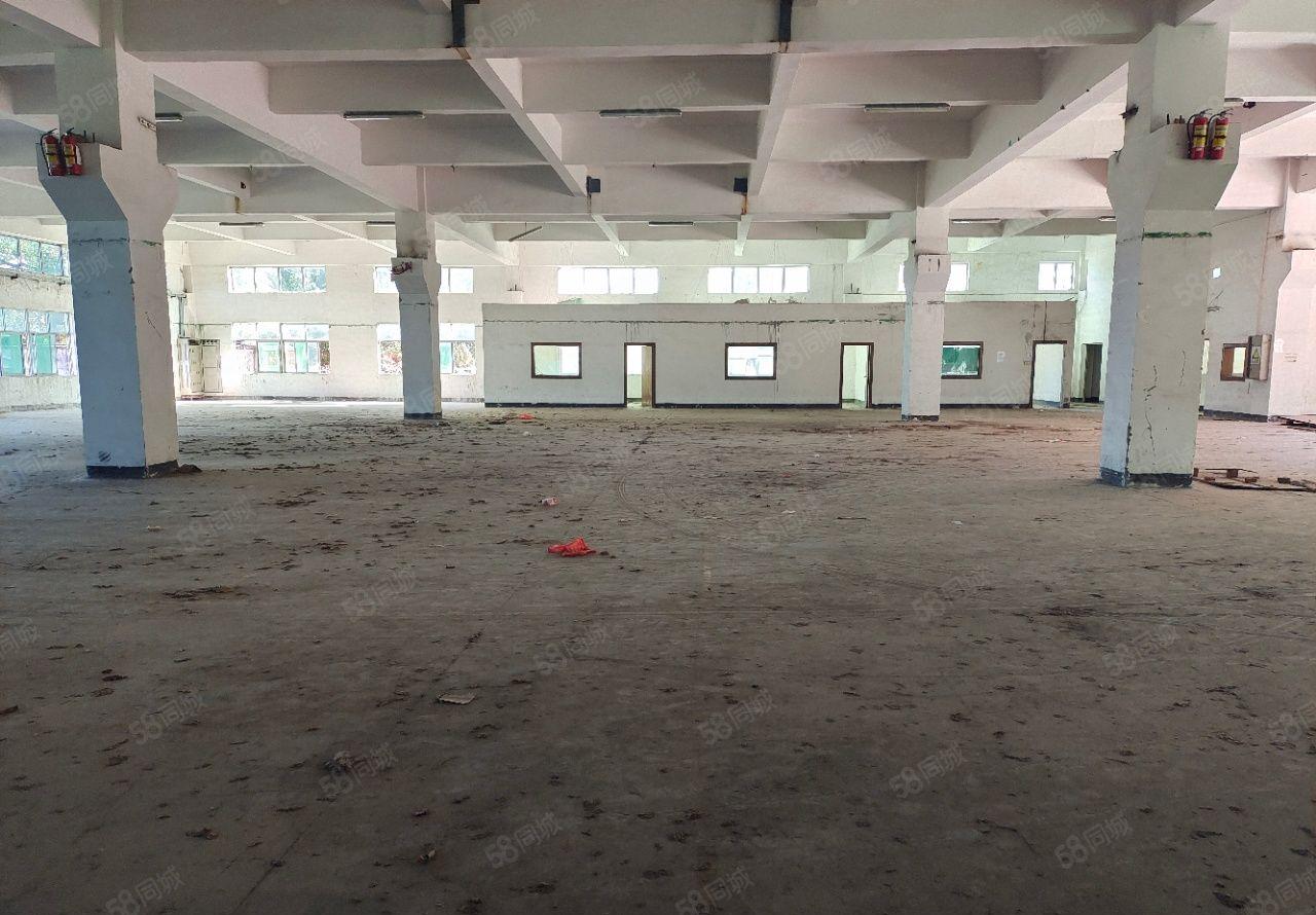 黄江镇厂房出租钢构单一层厂房8880平方空地超大可分租