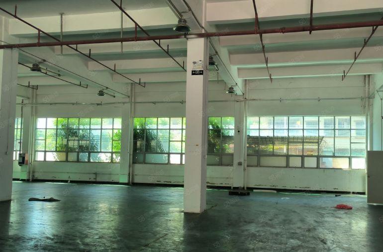 低价黄江镇新出原房东独院厂房出租600平方1楼6米带牛角