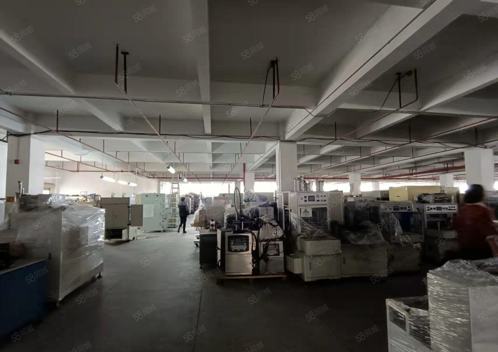 黄江镇新出原房东厂房出租整层4000平方无公摊