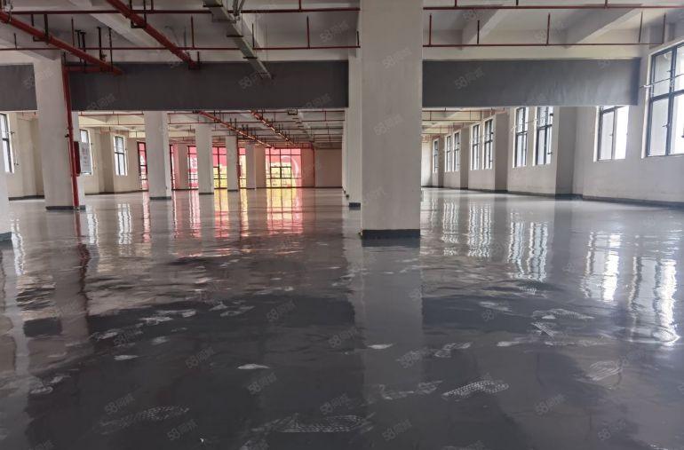 整层2500平，原房东10一平出租，全新厂房，空地大好停车