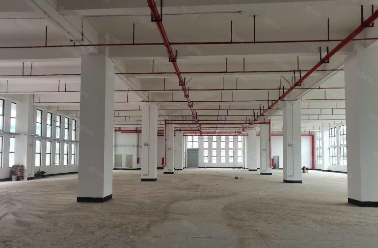 黄江星光村星峰路2号原房东全新厂房24000平出租 可分租