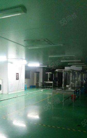 黄江新出楼上带地坪漆厂房1350平米