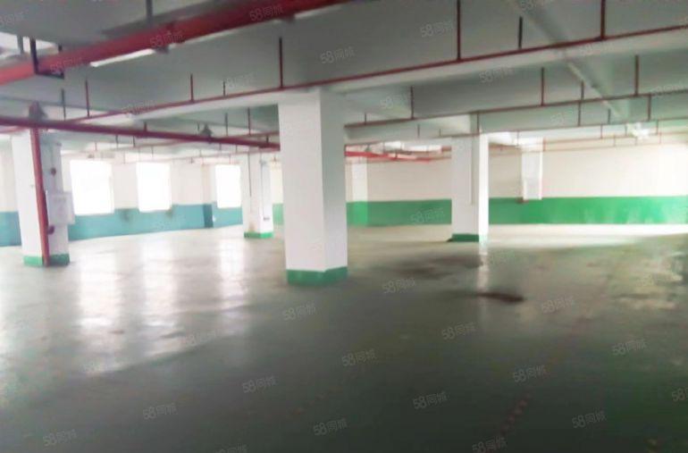 原房东二楼，1200平，带装修带办公室，有灯，便宜出租