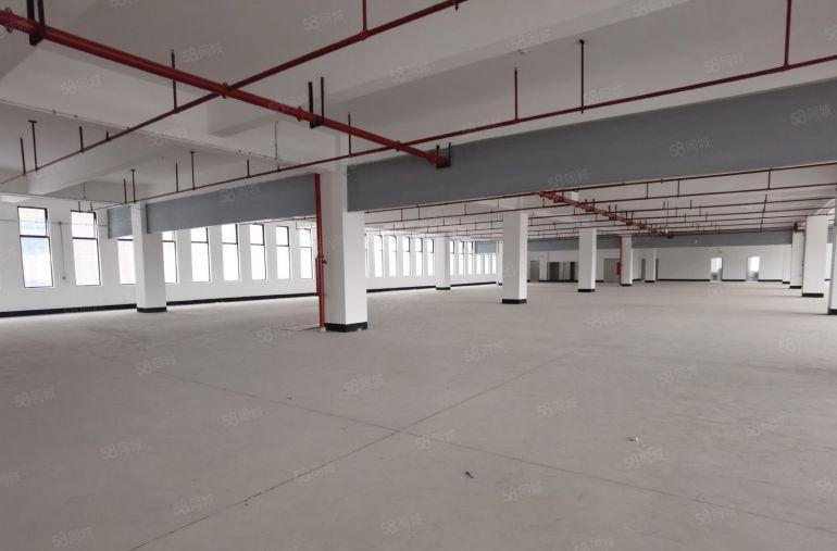 黄江全新标准独栋24000重工业厂房出租，大小可分租