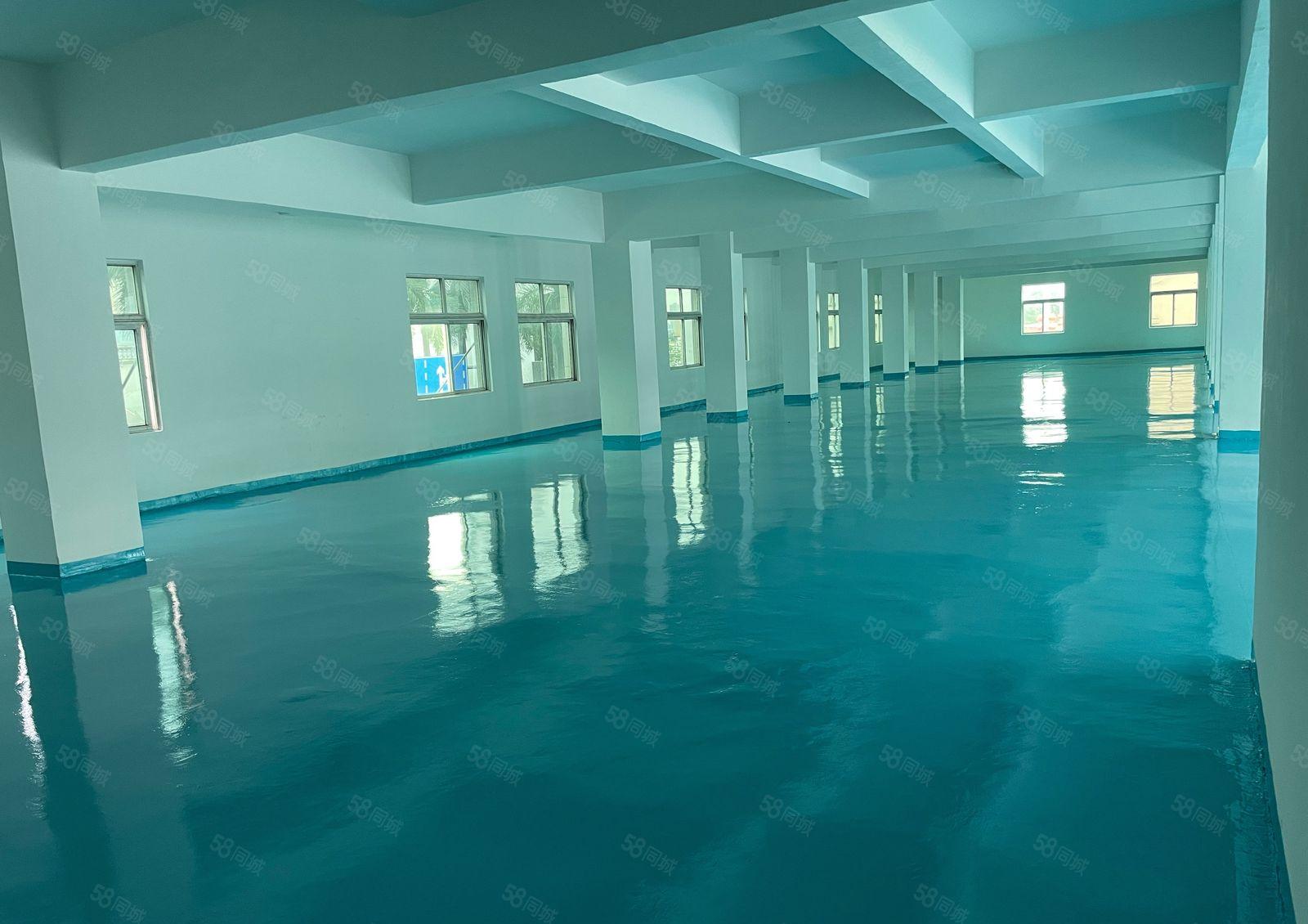 黄江镇国有工业厂房低价出租形象好空地大全新地坪漆单层1580