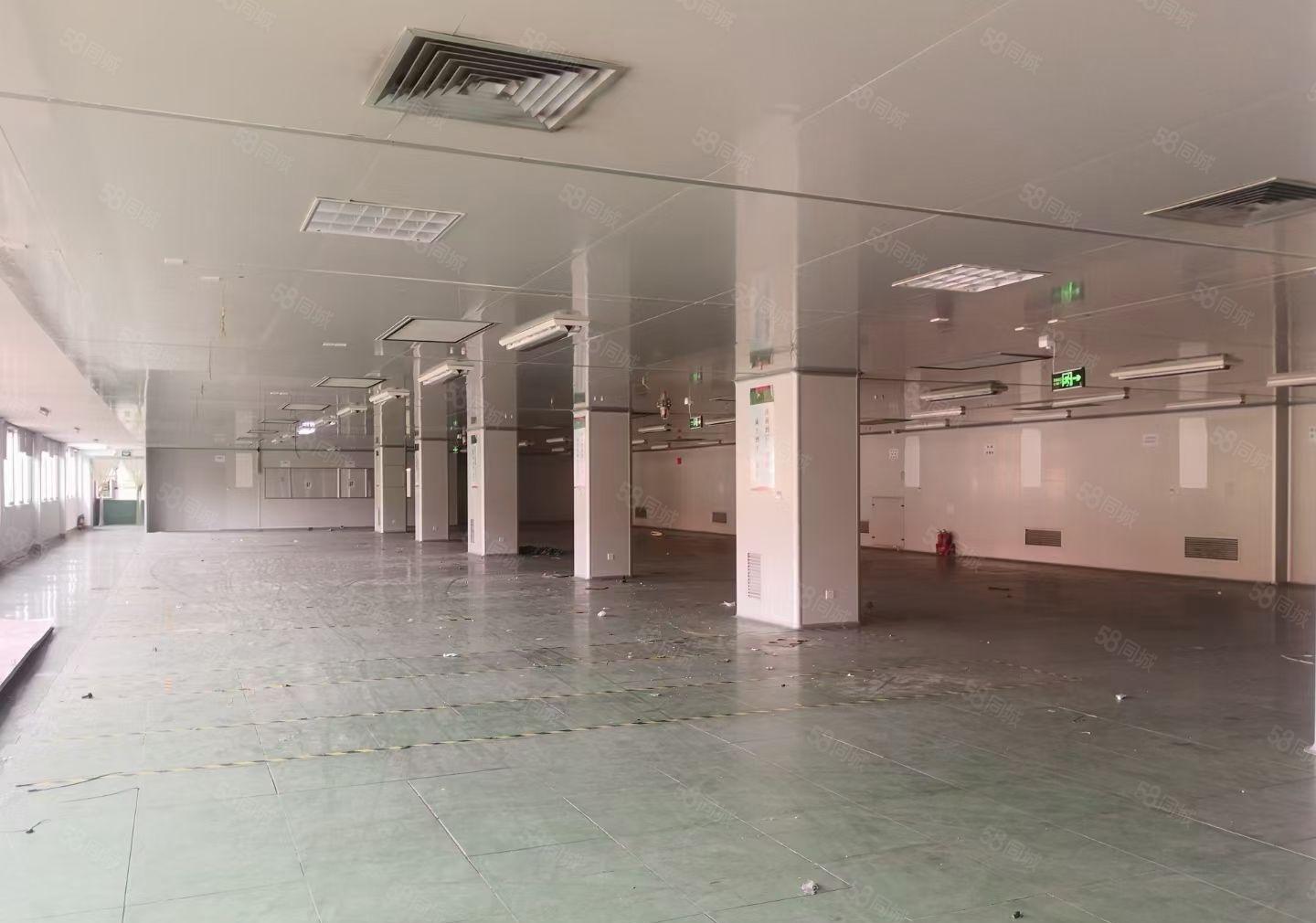 黄江镇合路工业区新出一二楼标准花园式厂房，每层1350平。