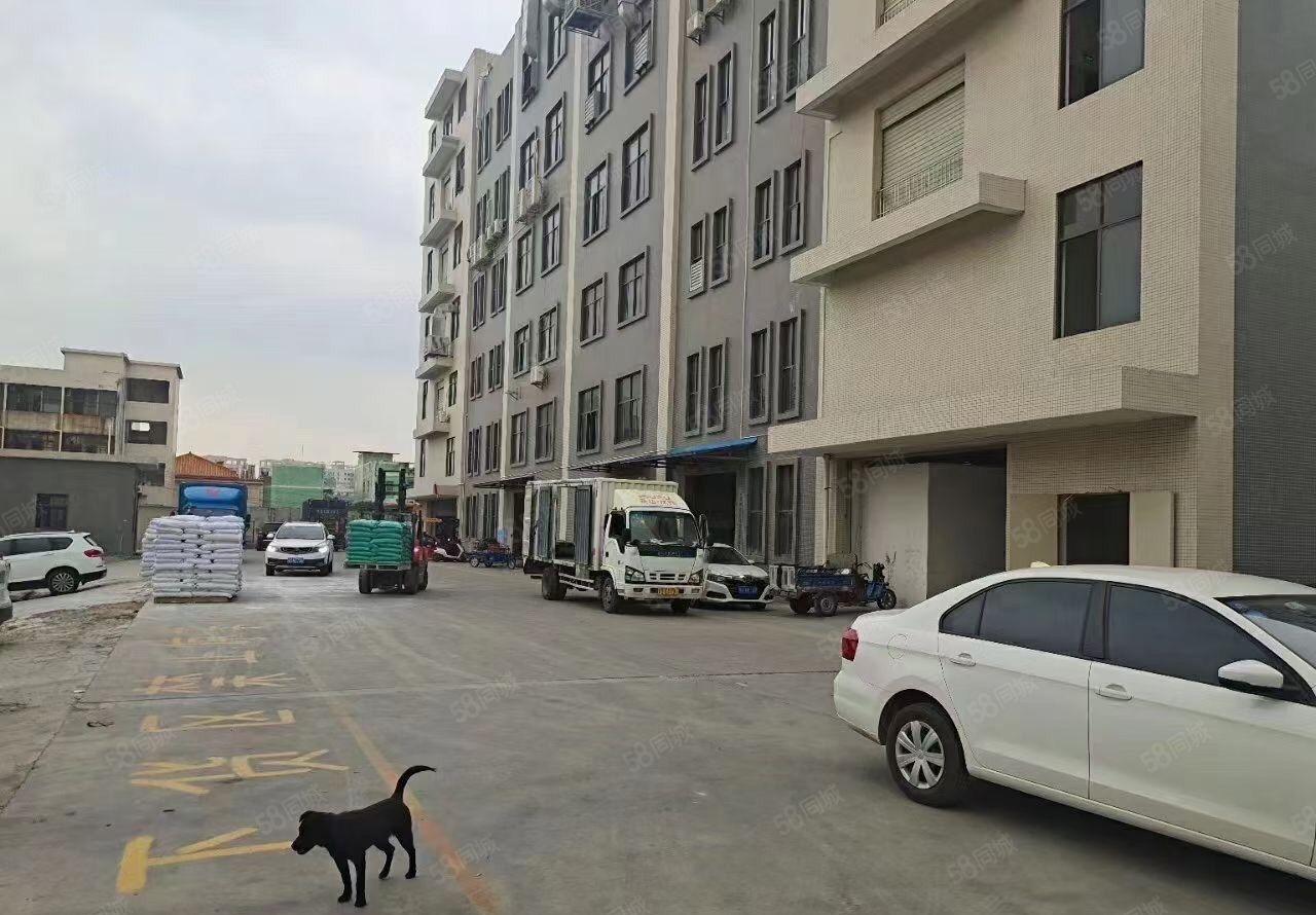 黄江北岸一楼800平米有装修。价格实惠厂房