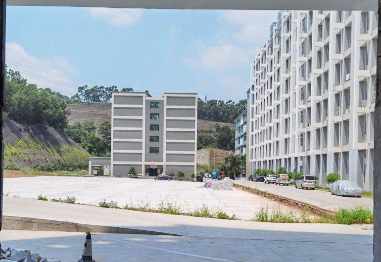 一楼，原房东自建红本厂房，大园区环境好，大量停车位