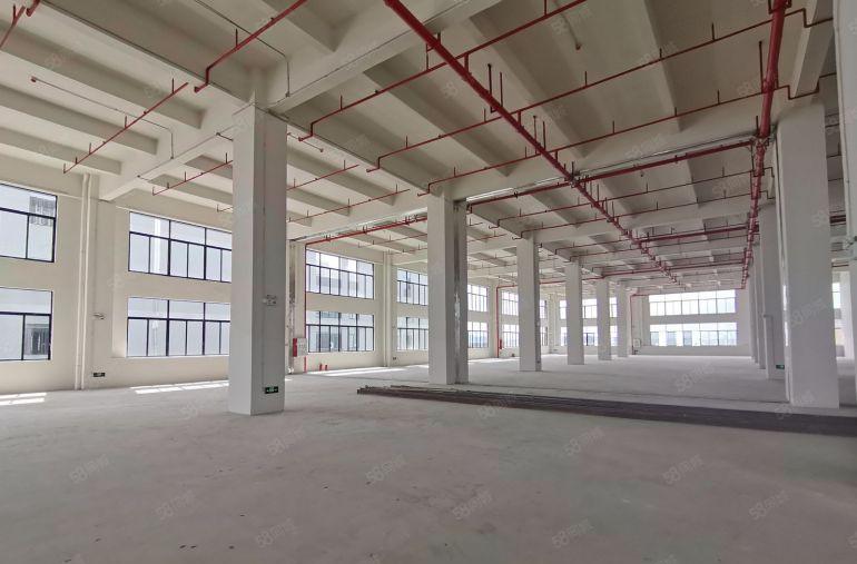 10元起租黄江星光工业区厂房出租100平分租大量独院厂房仓库