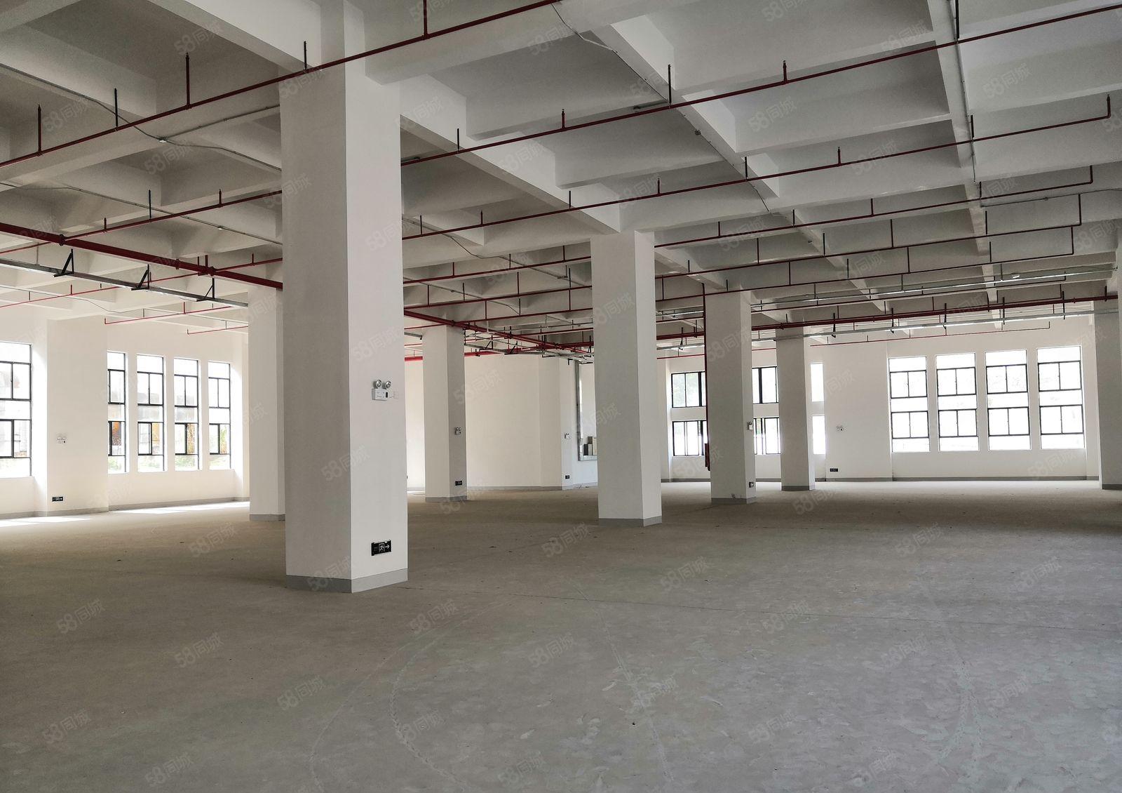 黄江新出标准一楼2500平米空地大带办公室装修