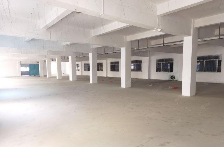 黄江镇4500平方独门独院工业厂房出租原房东实际面积出租可分