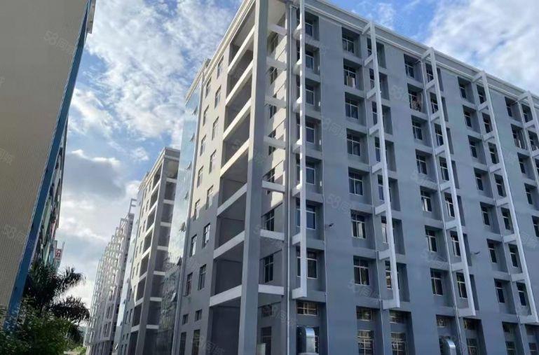 整层带装修，带办公室，原房东物业，价格低至12块一平