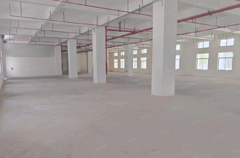 原房东一楼，23一平，新厂房大园区形象好，空地大好停车