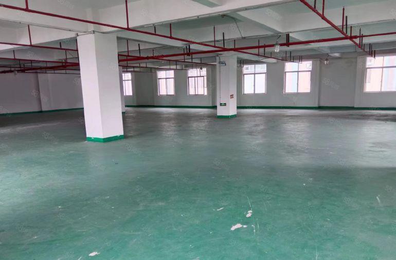 850平带办公室，带卫生间，原房东物业，大园区形象好