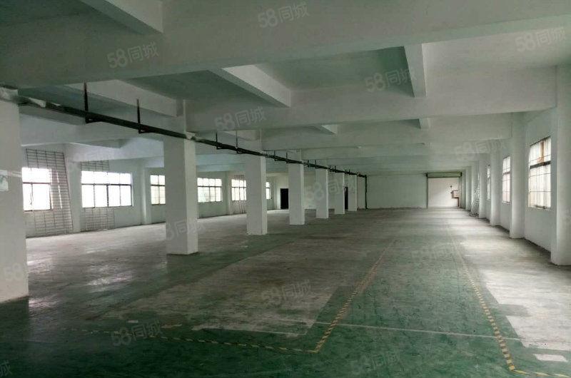 黄江镇中心新出标准一楼700平米6米高