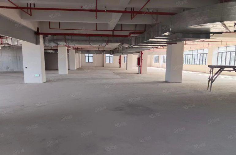 11块一平原房东全新厂房，大园区空地大好停车，形象好有消防