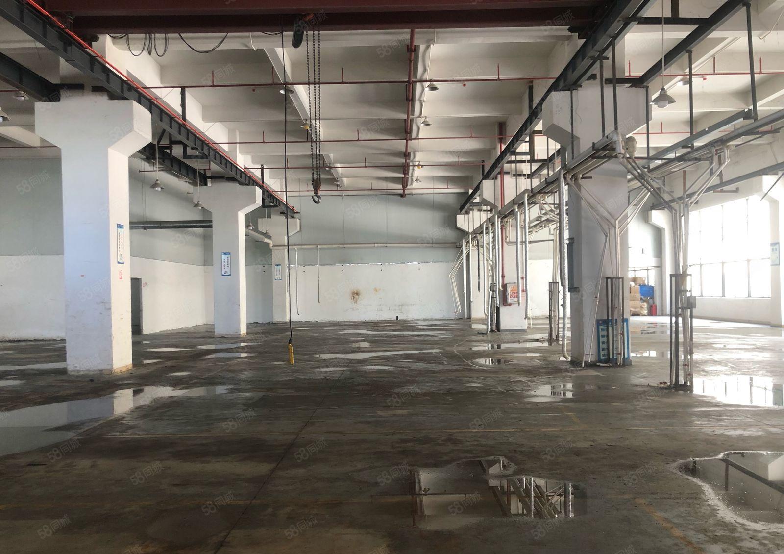 黄江镇田心村标准厂房1楼1720平方带现成行车厂房出租