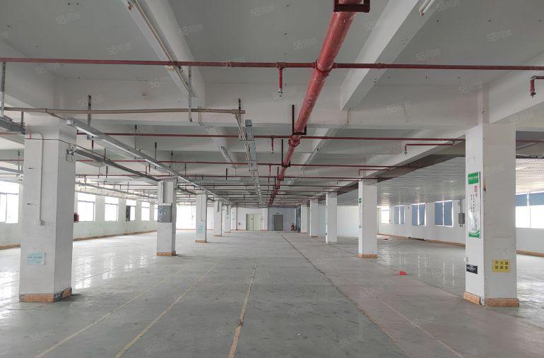 黄江镇高速出口附近 原房东标准独院8000平厂房出租 带装修