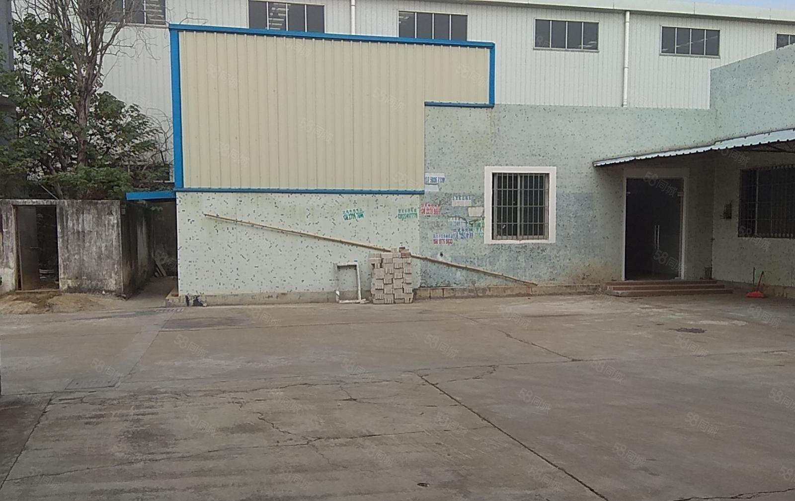 黄江新出独院单一层厂房4000平，原房东环评可办，滴水8米
