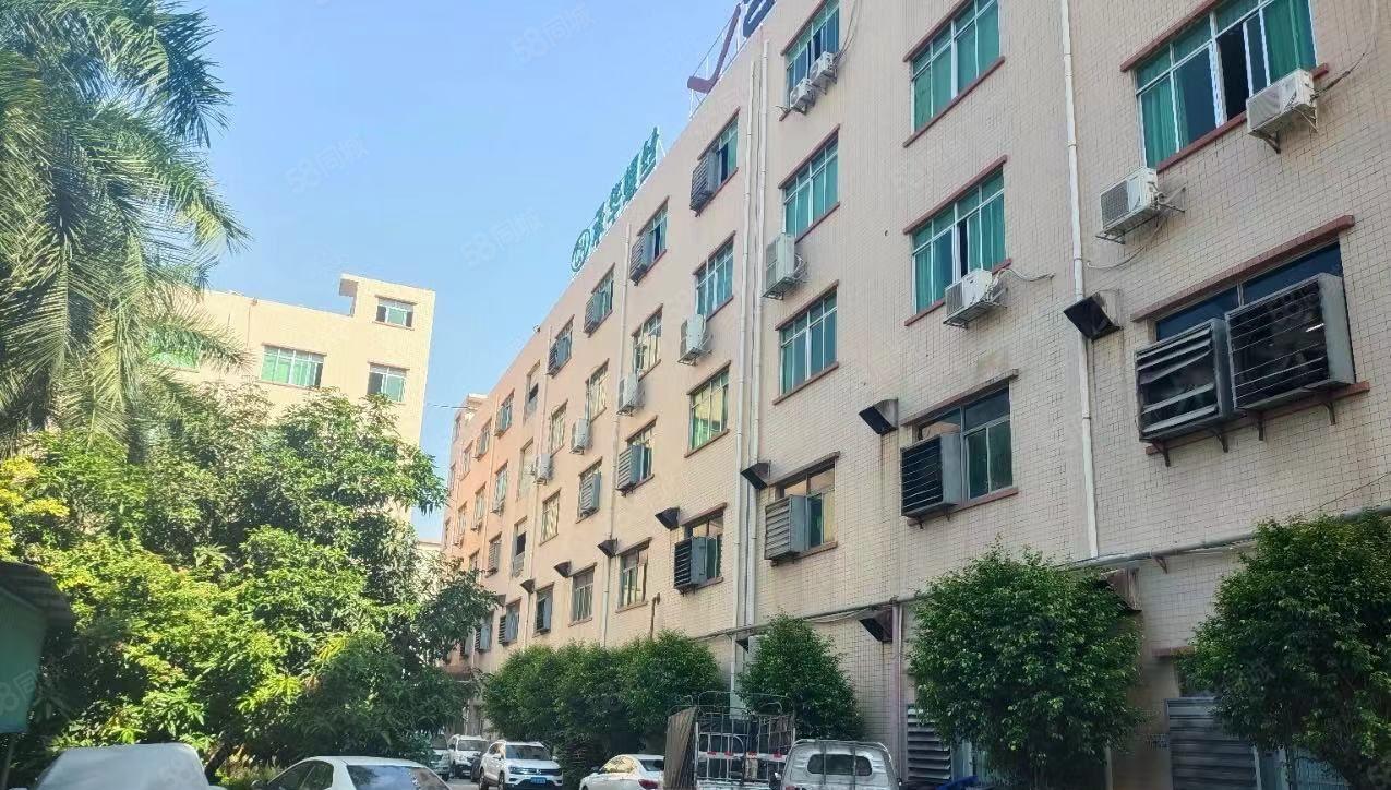 黄江镇田美工业区新出一楼厂房1200平，带装修