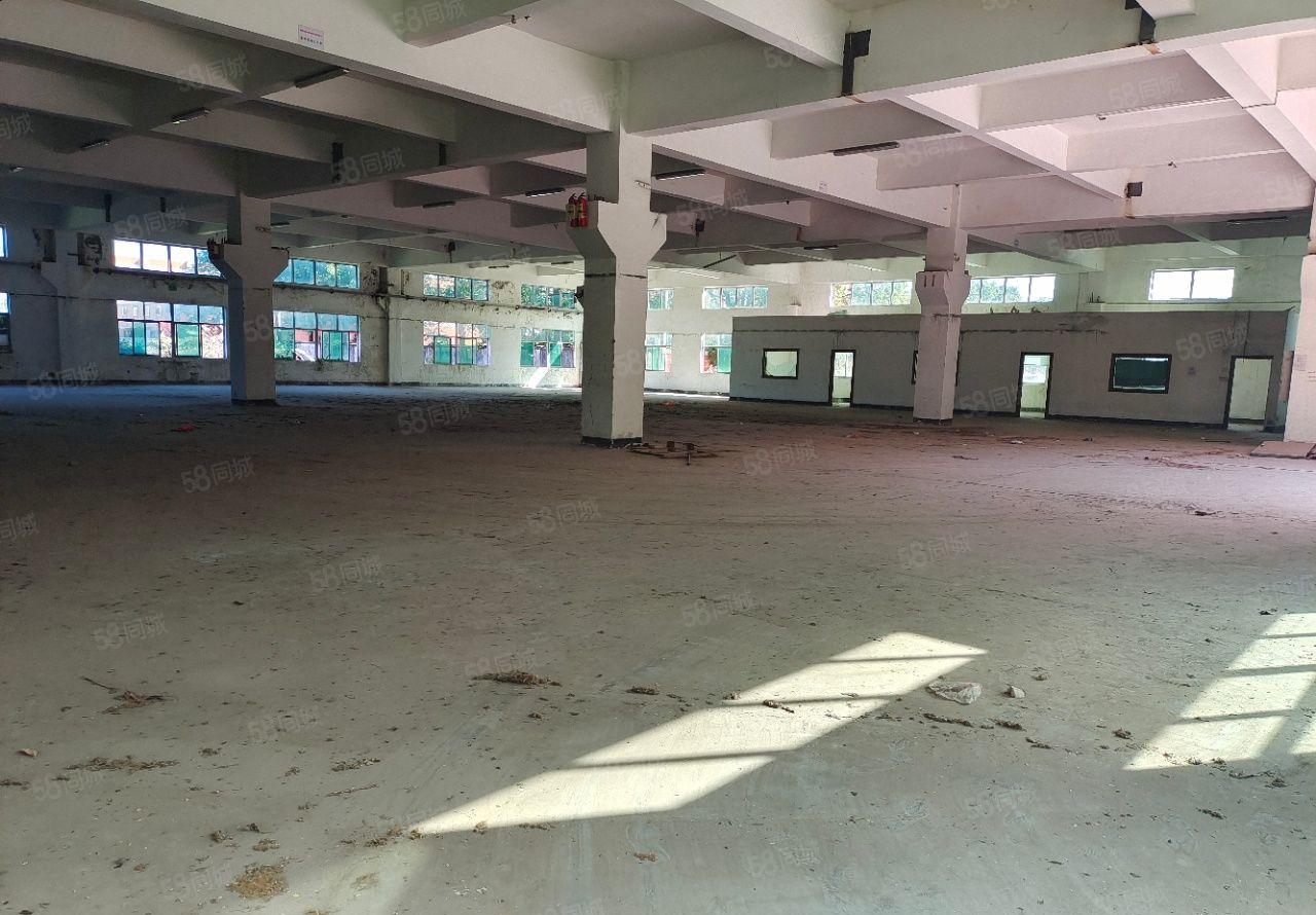 黄江镇厂房出租钢构单一层厂房8880平方空地超大可分租