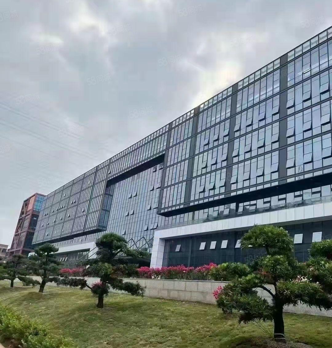 光明中山大学附近全新高端厂房8万平米招租配有全新2部4吨大货