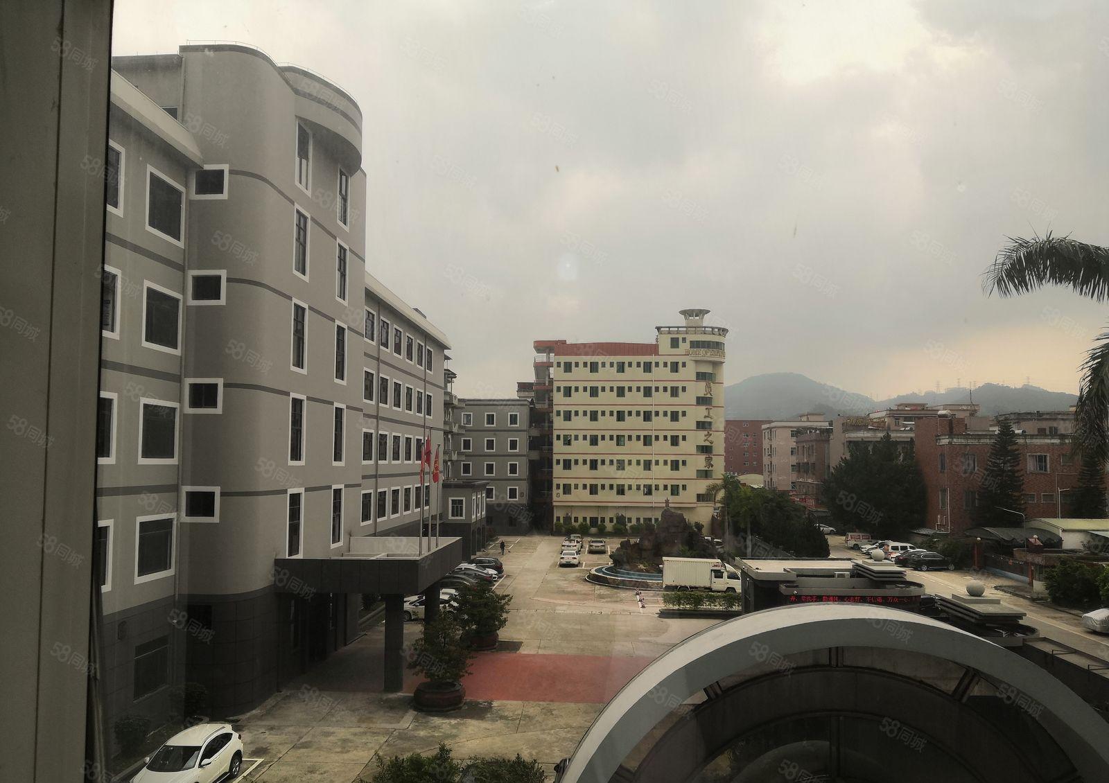 黄江新出标准一楼2500平米空地大带办公室装修