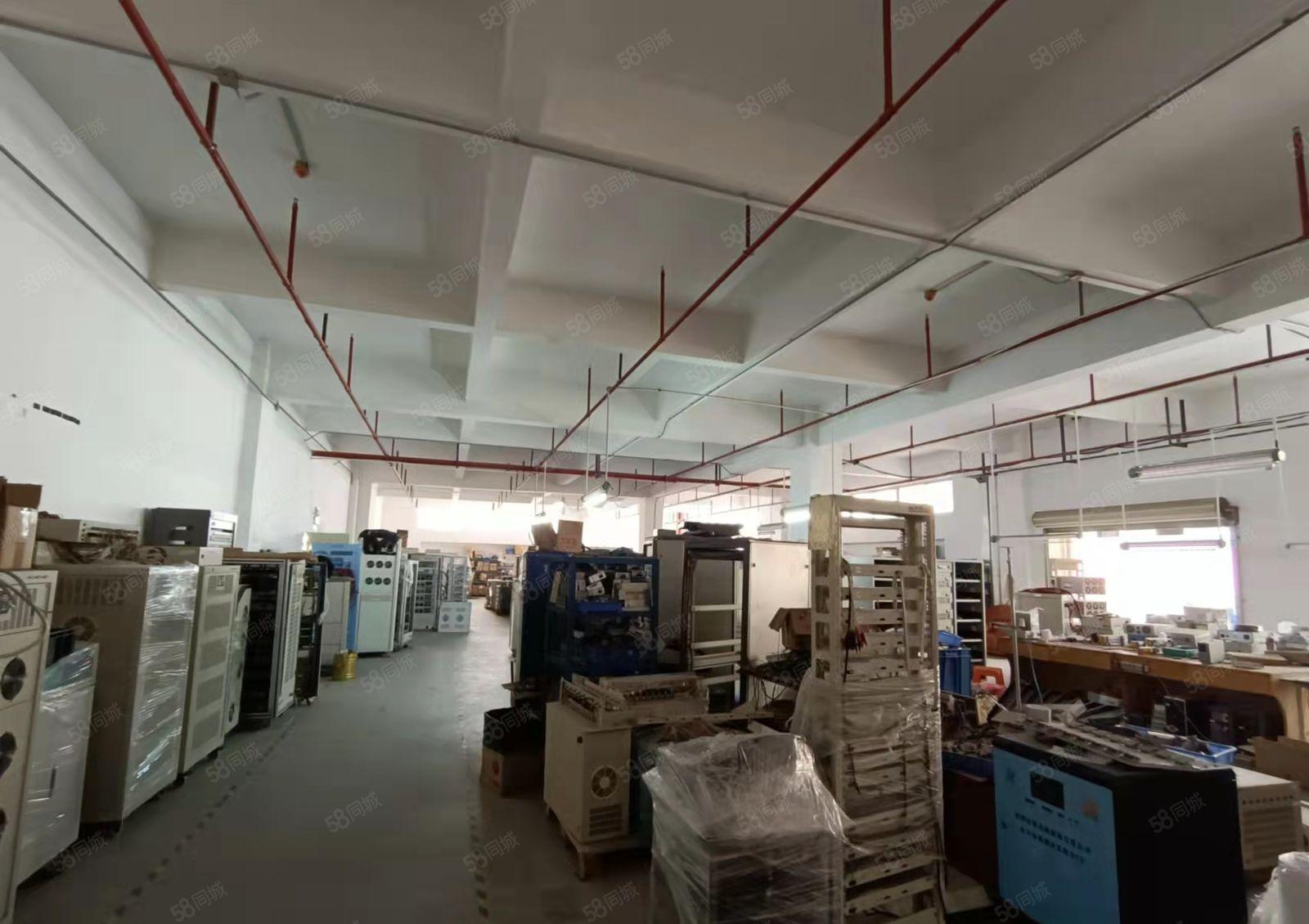 黄江镇新出原房东厂房出租整层4000平方无公摊