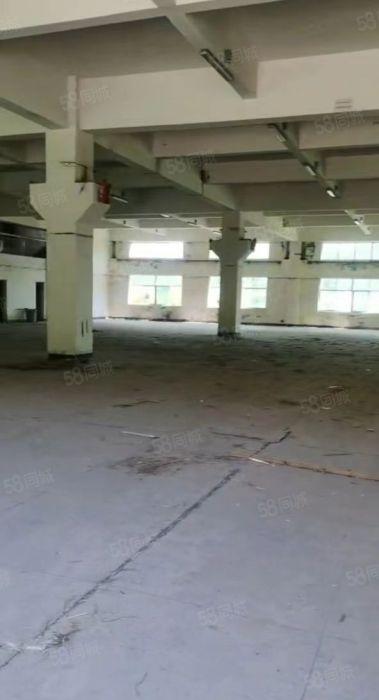 黄江靠深圳独栋单一层空地大形象好低价一楼厂房出租1500平方