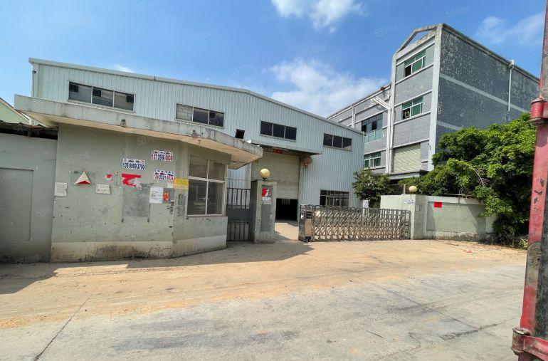 黄江镇临深独院钢构2000平滴水9米有牛角电超大