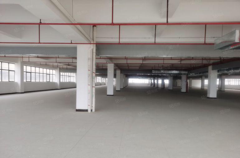 黄江高速出口工业园厂房分租一楼楼上单层2000平方含税9个点