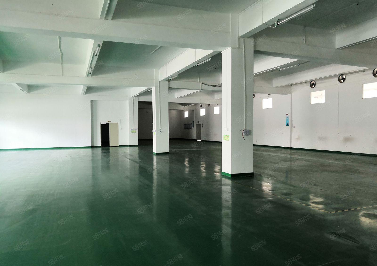 黄江北岸新出楼上1200平米主线到位有办公室装修