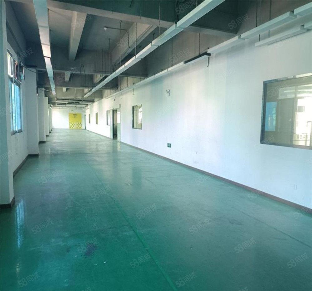 黄江工业区厂房出租3楼2400平方，地坪漆简装修，不限制行业
