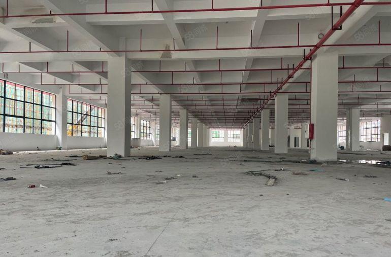 黄江一手房东全新高端大气3.3万厂房出租