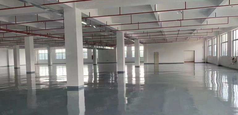 临深光明旁黄江全新无尘车间厂房仅14块拎包入驻