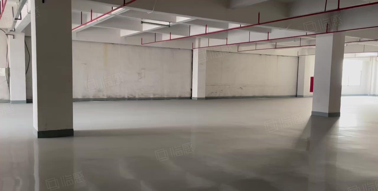 黄江镇临深工业厂房低价分租3500平有办公室地坪漆喷淋