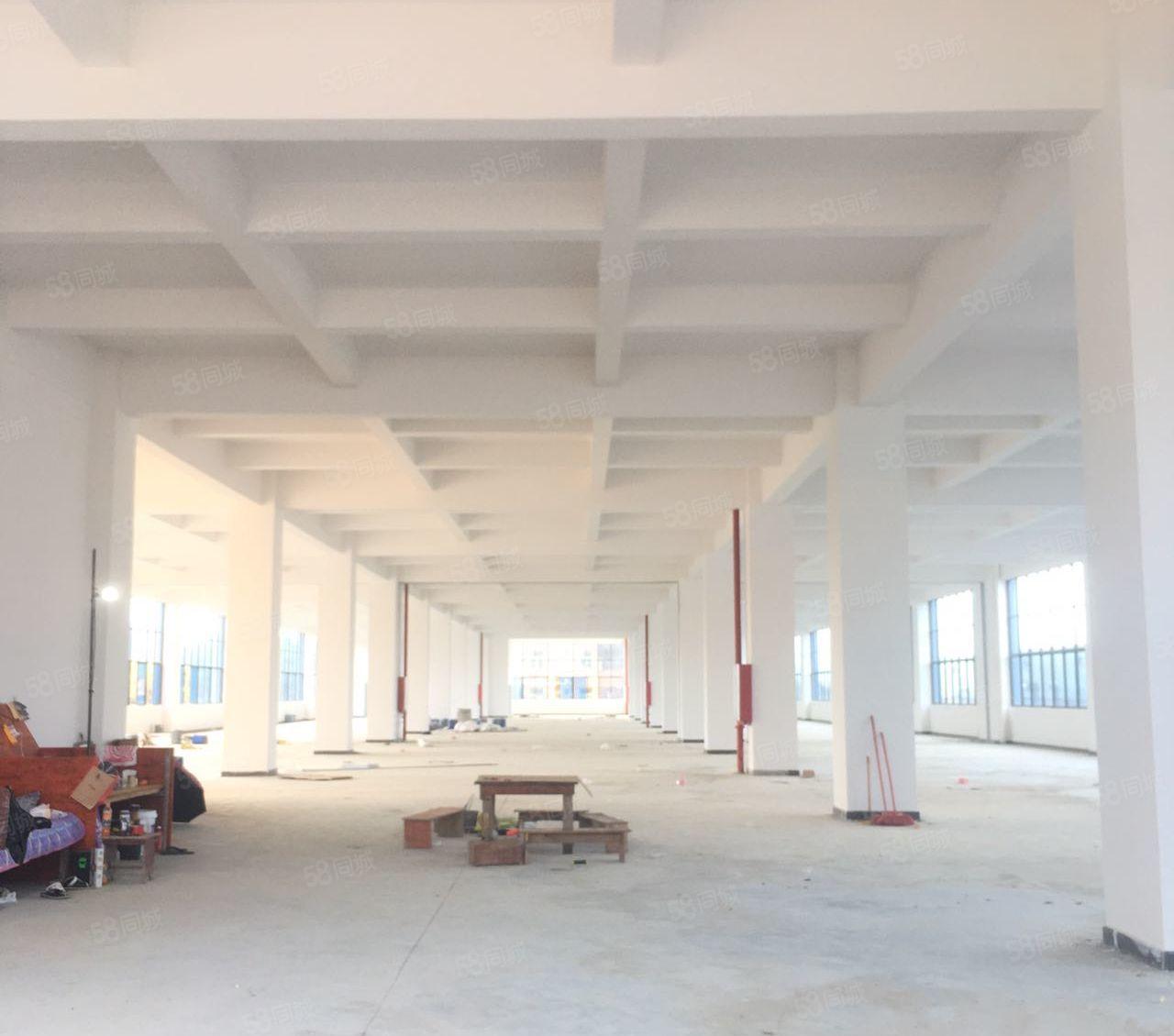 东莞市临深镇区原房东，全新独院厂房出租，形象好，证件齐全。