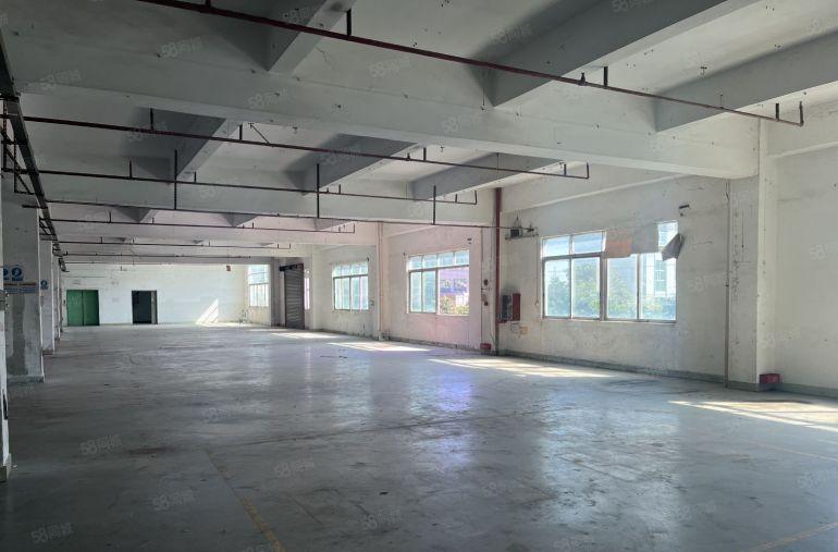 黄江本地房东新出标准独院带牛角位。适合五金注塑电子加工等行业