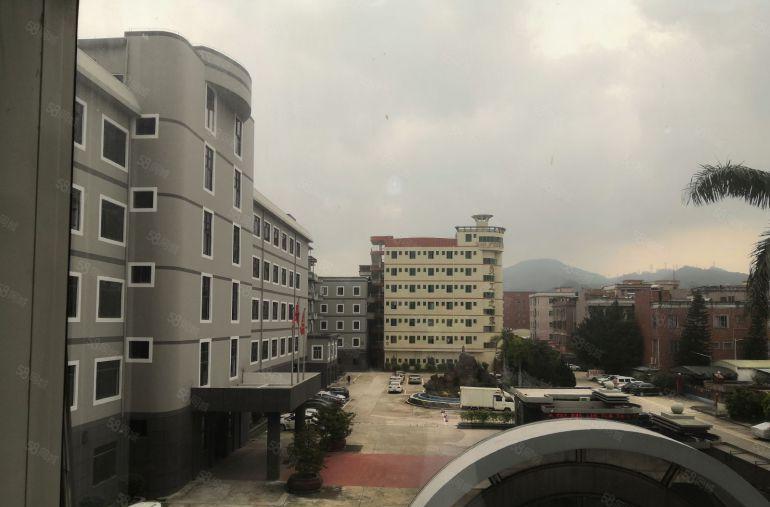 黄江新出标准一楼2500平米空地大带办公室装修