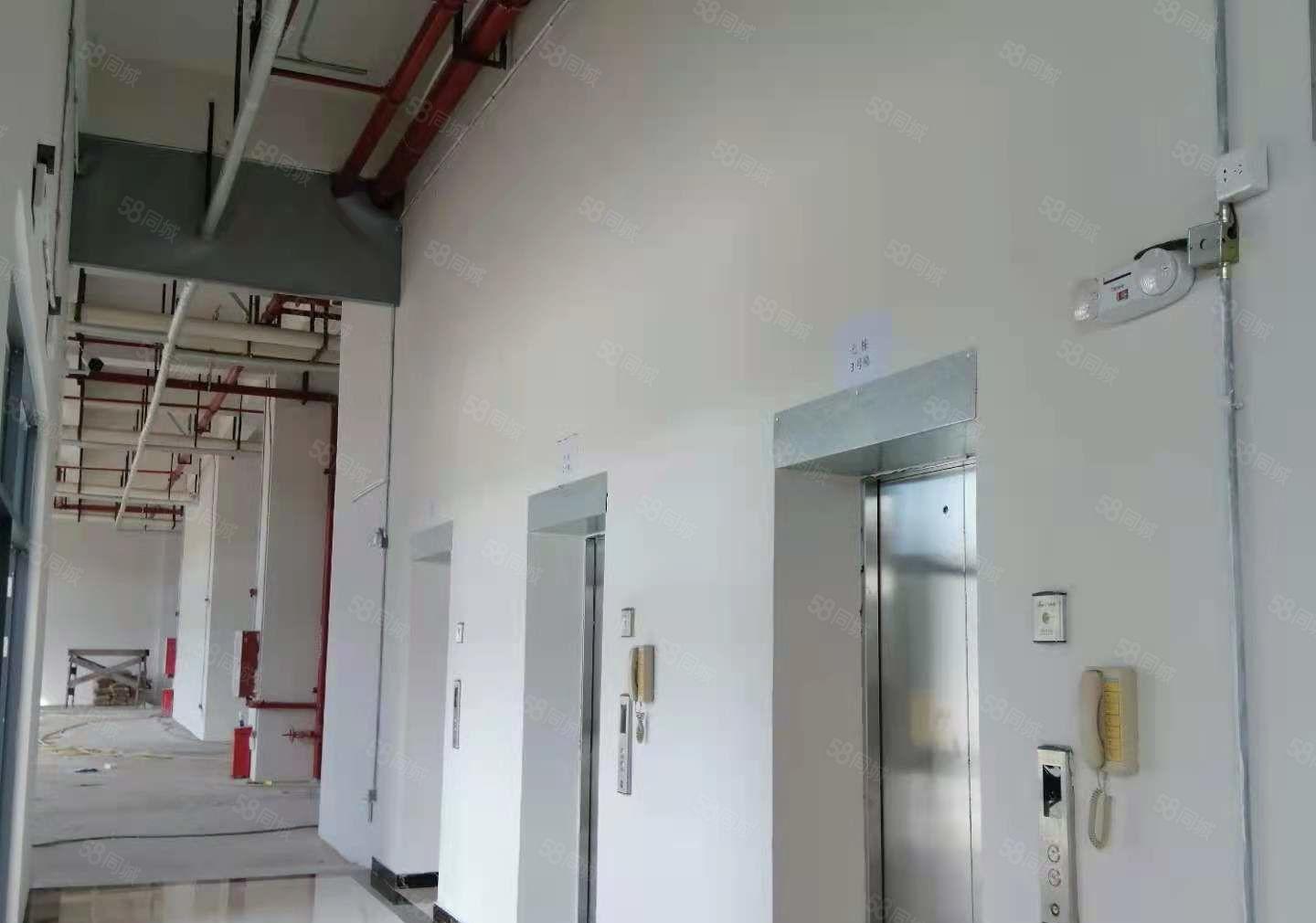 开发商直租东莞黄江3000平米厂房 可分租 无中介价格面议！