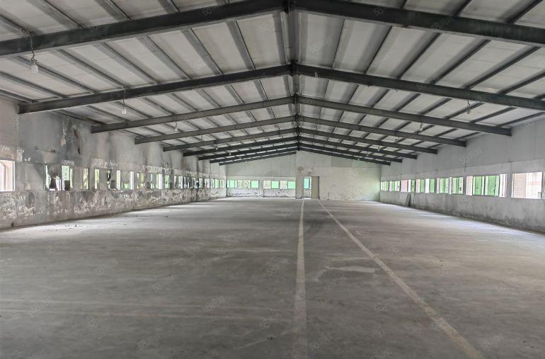 大冚原房东独院5400平方一楼7.5米