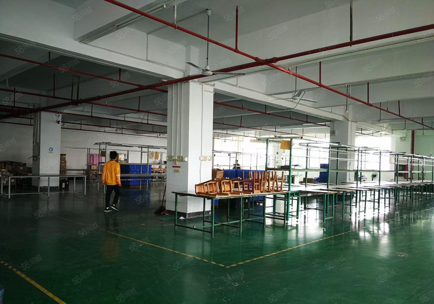 黄江高速出口原房东独院厂房3000平现成水电可以分租大小面积