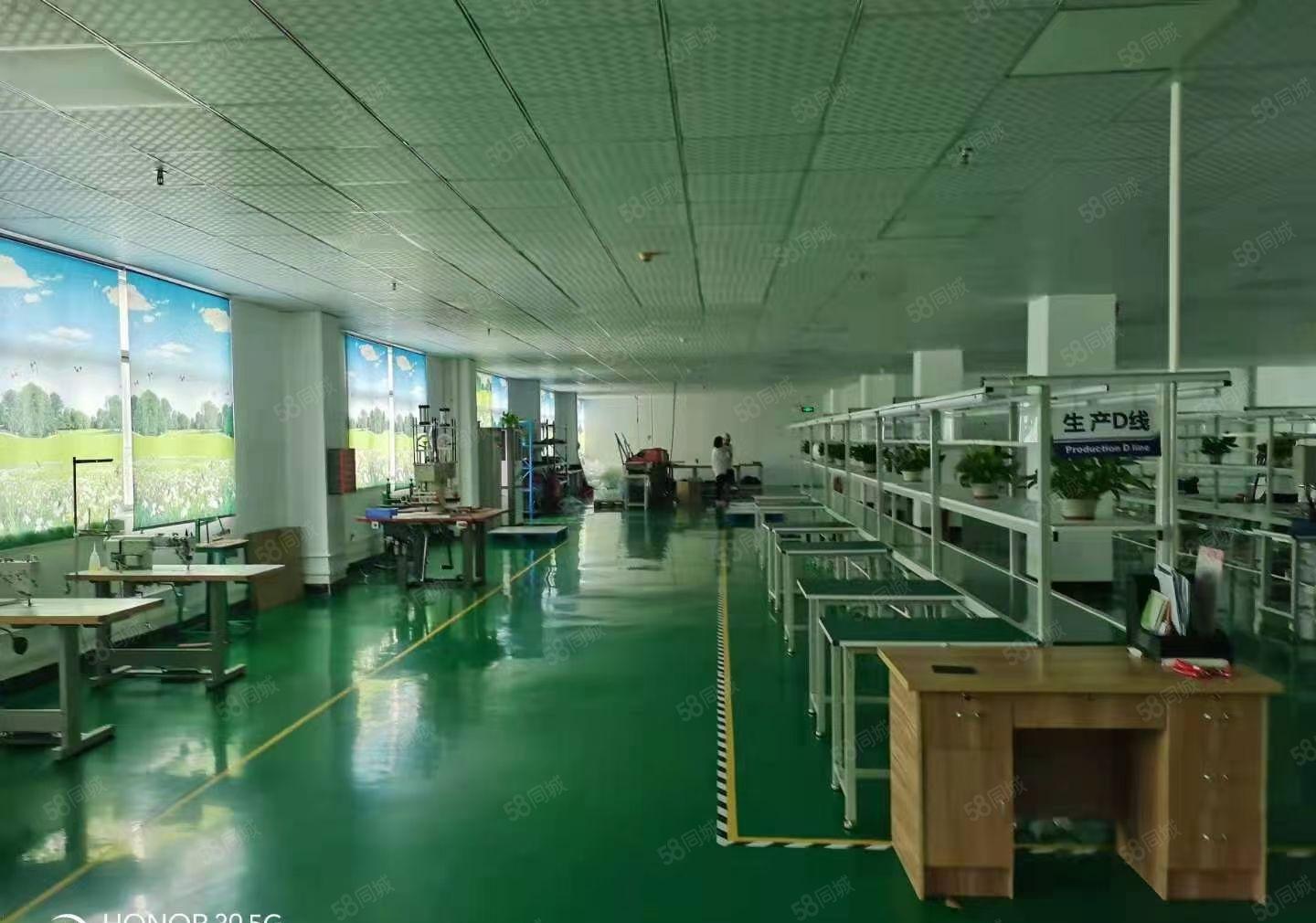 黄江镇合路工业区新出一二楼标准花园式厂房，每层1350平。